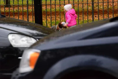 DSC_0694 (Large).JPG